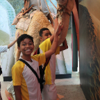 Visit to Maritime Experiential Museum and Aquarium